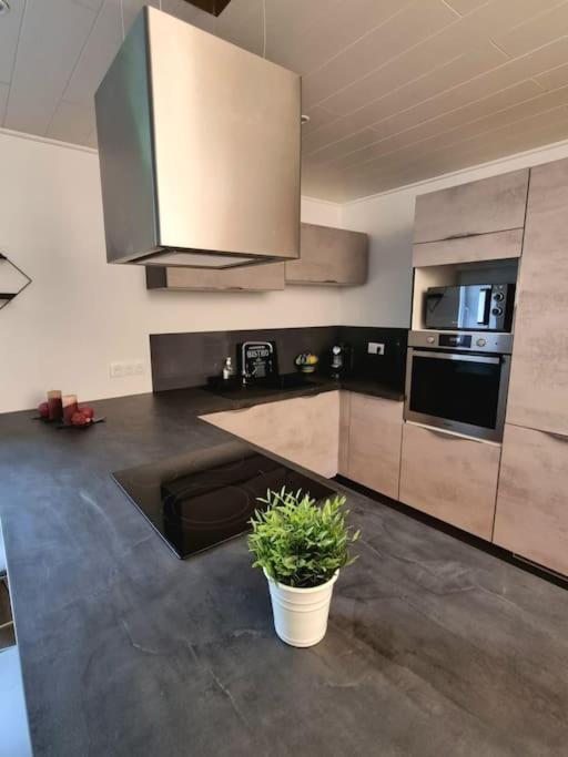 Appartement Chaleureux 80M2 Орбе Екстер'єр фото